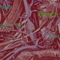 Darkly Darkly Venous Aperta